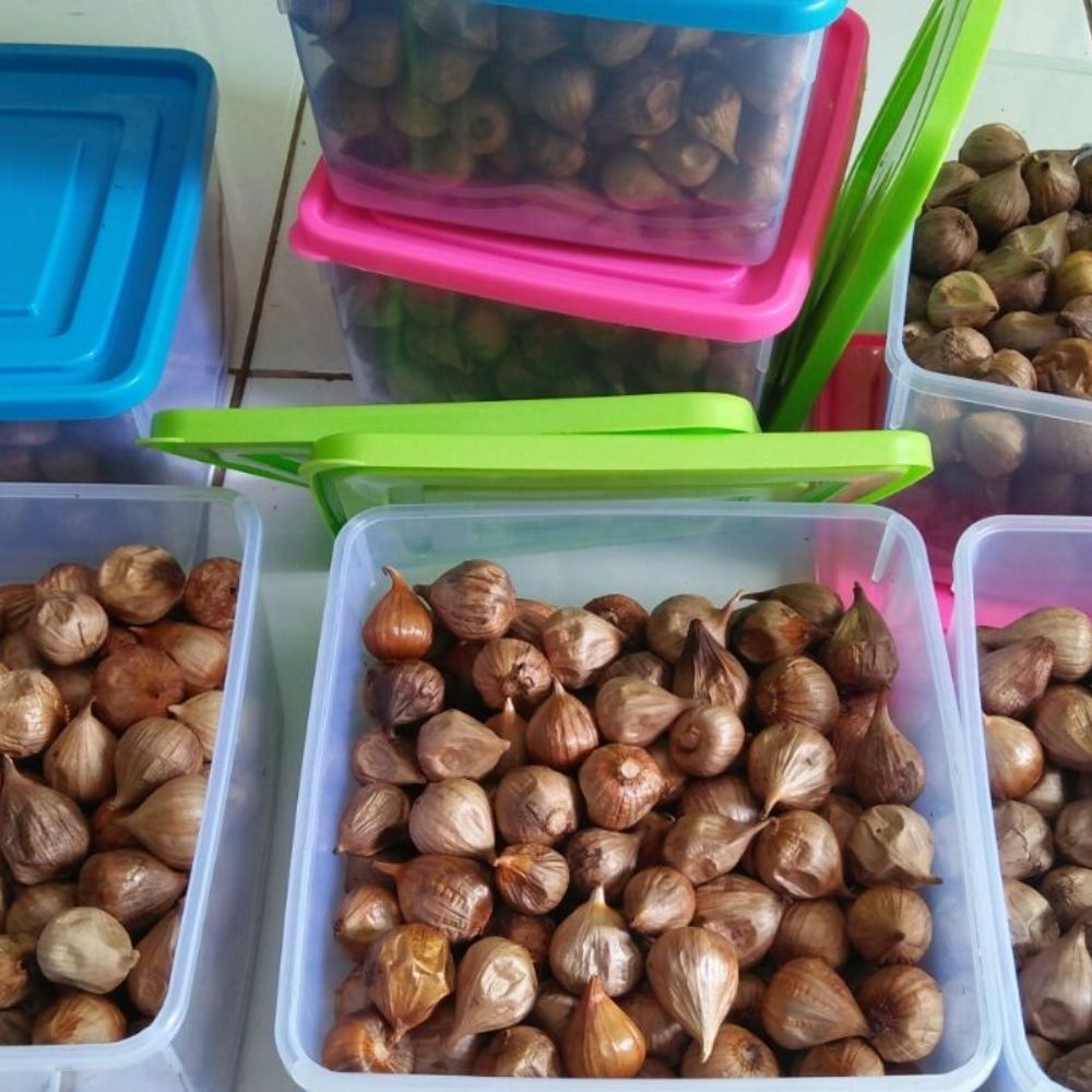Harga Bawang Hitam 3