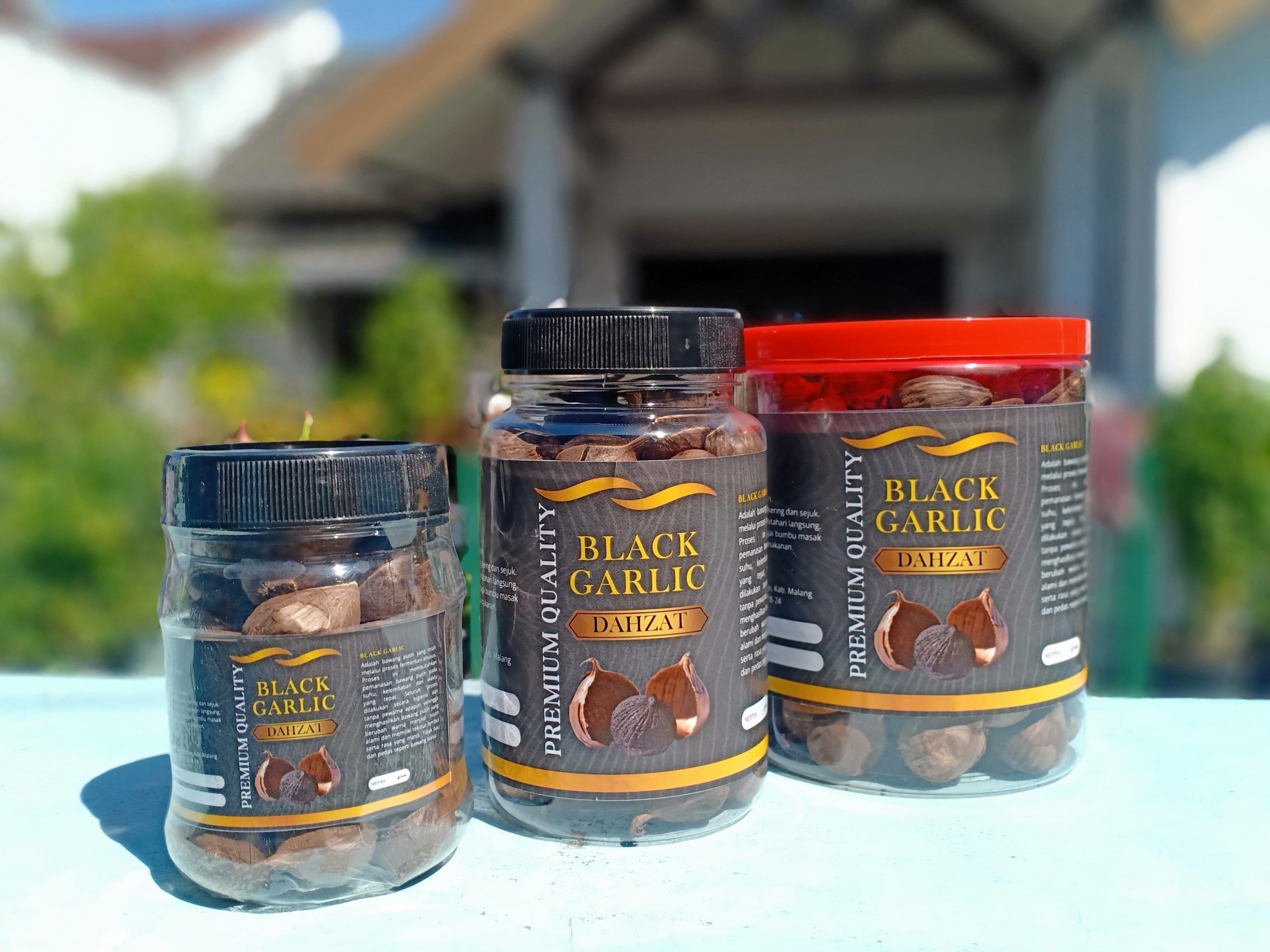 c934e1ac-cfb5-46ce-98e7-3d3aa9e78225